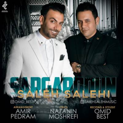 دانلود آهنگ صالح صالحی عاشق مجنون