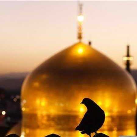 ای کبوتر که نشستی روی گنبد طلا
