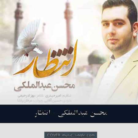 محسن عبدالملکی  انتظار