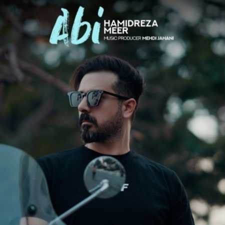 حمیدرضا میر آبی