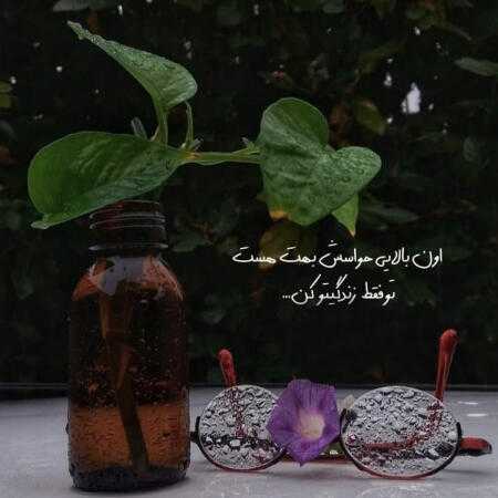 با دل چون کبوترم انس گرفته چشم تو